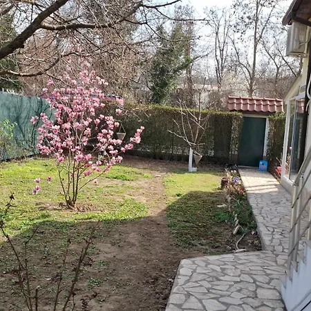 спирката